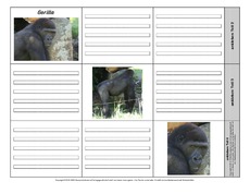 Leporello-Gorilla-2-1-2.pdf